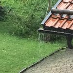 Doris Dietrich - @dietrich6640 - Instagram