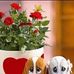 Doris Dietrich - Facebook