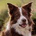 Doris Dietrich - Facebook