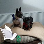 Doris Dixon - @doris.dixon.16 - Instagram