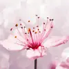 Doris Dixon - @doritdxn - TikTok