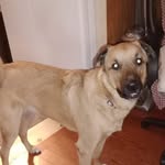 Doris Mae - @doris.b.dodd - Instagram