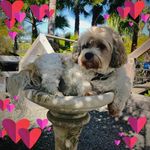 Doris Dodge Eberhardt - @doris1955 - Instagram