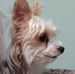 Doris Daggett - Facebook