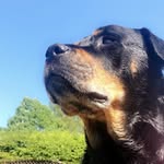 @doris_dolan08 - Instagram