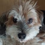 Doris Döll - @doris.doell.boden - Instagram