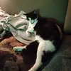 doris donald - @doris.donald - TikTok