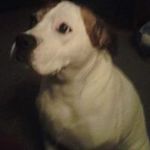 Doris Ryder Donaldson - @dlrdonalds - Instagram