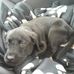 Doris Donner - Facebook