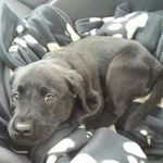 Doris Donner - @doris.donner - Instagram