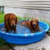 Doris Donovan - Facebook