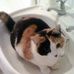 Doris Doolittle - Facebook