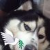 Doris Dorado - Facebook