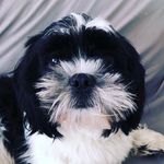 Doris - @doris_doran - Instagram