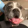 Doris - @dailydoseofdoris14 - TikTok