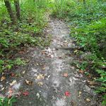 Doris Milroy Doucette - @wisermom24 - Instagram