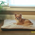 Doris Sikes Drake - @dorisdrake462 - Instagram