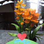 Doris Drapeau - Facebook