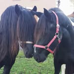 Doris Dreyer - @doris.dreyer1 - Instagram