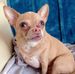 Doris Morio - Facebook