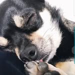 doris.drucker - @doris.drucker - Instagram
