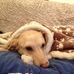 Doris Dryden - Facebook