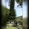 Doris Duarte - @dorisduarte - TikTok