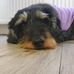 Doris Dumont - Facebook