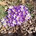 Doris L Dunham - Facebook