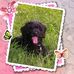 Doris Dunning - Facebook