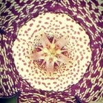 Doris - @dorisdurr - Instagram