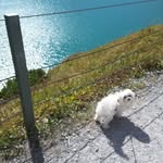 Doris Dürr - @durr_doris - Instagram