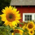 Doris Dvorak - @tecmom1 - Instagram