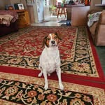 Doris Dyer - @dorisdyer465 - Instagram