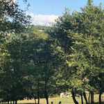 Doris Dyer - @dorisdyer19 - Instagram