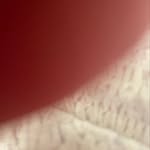 Doris Earl - @doris.earl.1940 - Instagram