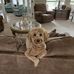 Doris Earls - Facebook