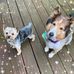 Dory Leff Eaves - Facebook