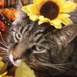 Doris Ebert - @dorisebert4 - Instagram