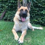 Doris - @doris_echavarria - Instagram