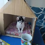 Gretel Doris Brand Echavarria - @greteldoris - Instagram