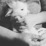 Doris Eckert - @doriseckert9 - Instagram