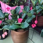 Doris Eckhoff - @eckhoff.doris - Instagram