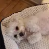 Doris Eder - @user8219045747324 - TikTok