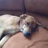 doriseder951 - @doriseder951 - TikTok