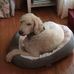 Doris Edmonds - Facebook