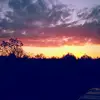 doris.gebert - @doris.gebert - TikTok