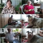doris ehrlich - @engelmaus54 - Instagram