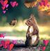 Doris Eichhorn - Facebook