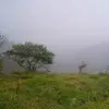 Dorisely - @doriselysantacruz - TikTok